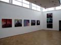 IMG_2412 copy